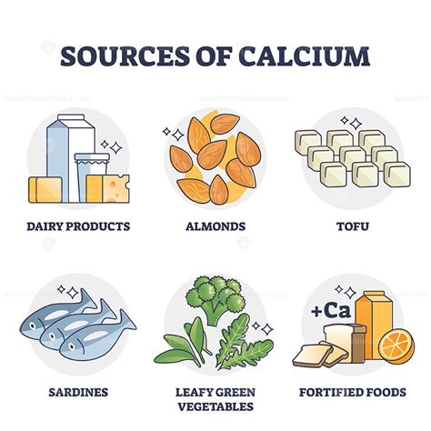 dietary sources  calcium ions  margaret burgin blog