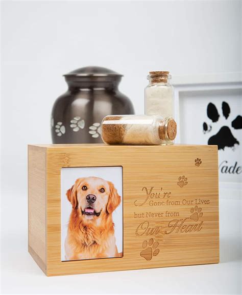 Uk Animal And Pet Cremation Services Procare Pet Cremations