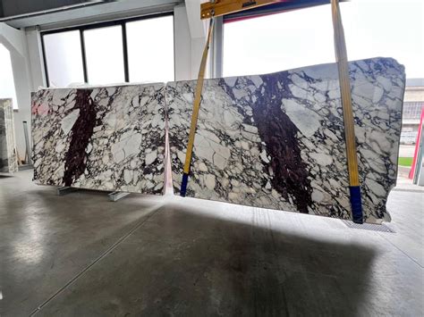 All You Need To Know About Calacatta Viola Marble Acemar Stone