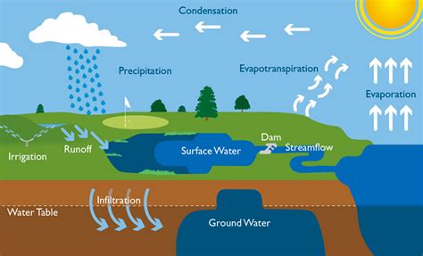 Water Cycle Diagram Labeled With Infiltration