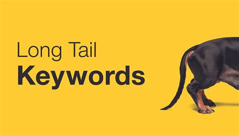 What Are Long Tail Keywords And How To Use Them