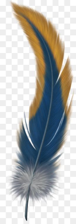 Golden Quill Png Golden Borders Png Pack Euaquielela