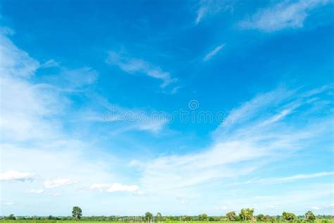 Blue sky and cloud with tree. Landscape background , #affiliate, #cloud ...