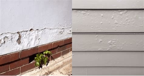 Exterior Paint Problems Common Causes Explained Signature Painters