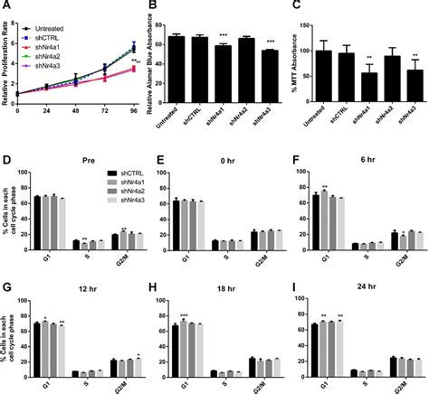 Knockdown of Nr4a1 or Nr4a3 decreases-cell proliferation. Cellular ... 