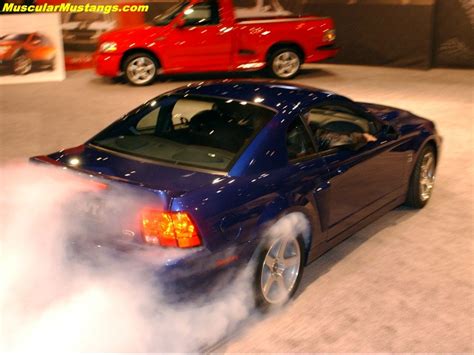 2003 Svt Cobra Burnout Wallpaper