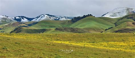 Photos Storm Drops Snow Across San Luis Obispo County San Luis