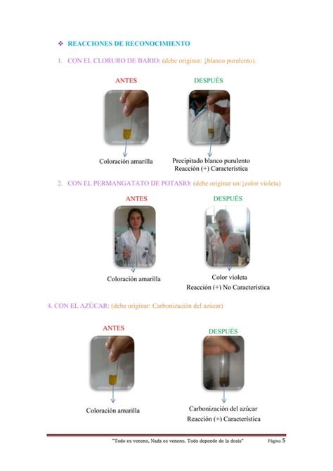 Practica 16 intoxicación por ácido sulfúrico PDF