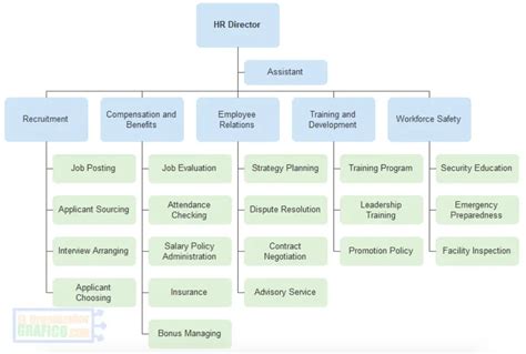 Organigrama Del Departamento De Recursos Humanos Estructura De Images 164496 Hot Sex Picture