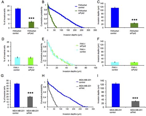 Reduction Of Pyk2 In Addition To Fak Can Further Reduce Invasiveness Download Scientific