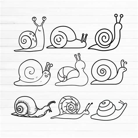 Schnecke Plotterdatei Schnecke Plotterdatei Schnecke Png Etsy De