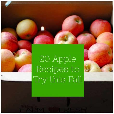 20 Apple Recipes to Try this Fall - The Organized Mom