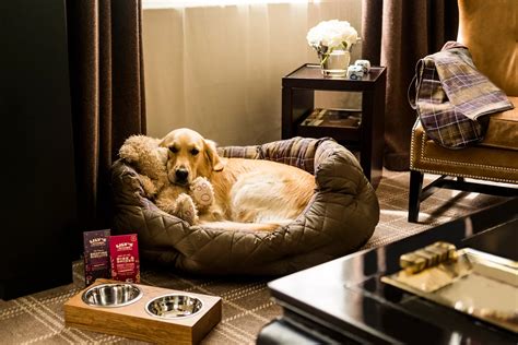 Pet Friendly Hotel In London Rosewood Hotel London