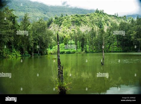 Mare A Poule Deau Banque De Photographies Et Dimages Haute