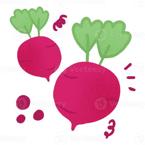 Red Radish Cartoon Illustration Png