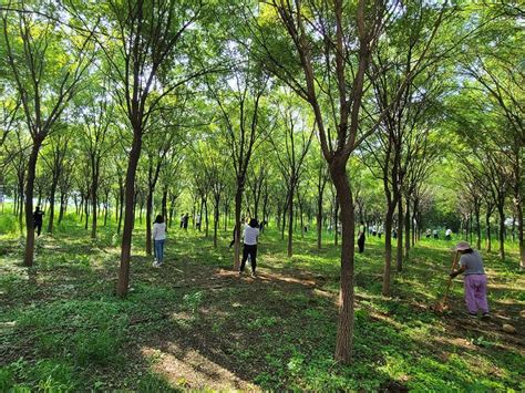 首个“全国生态日”！为生态文明注入顺义力量北京时间