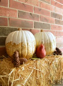 Gilded Pumpkins Creative Diy Designs For Fall Omg Lifestyle Blog