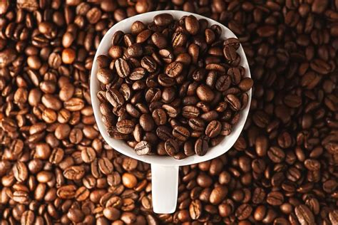 5 Daerah Penghasil Kopi Robusta Terbesar Di Provinsi Lampung Juaranya