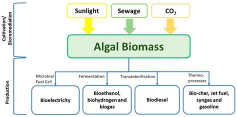 Algae Biofuel Chart