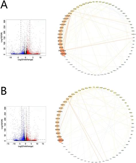 Protein Protein Interaction Networks Of The Major Degs A