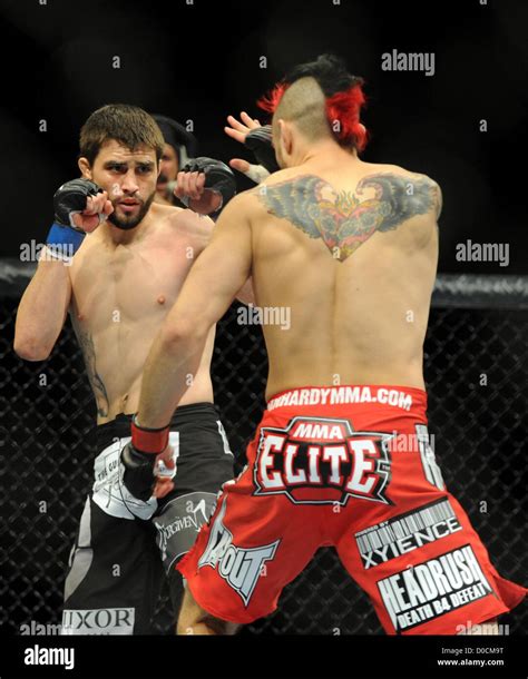 Carlos Condit Hi Res Stock Photography And Images Alamy