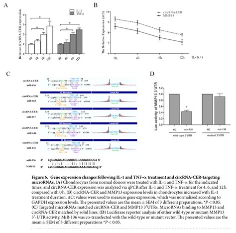 Liu Q Et Al Circular Rna Related To The Chondrocyte Ecm Regulates