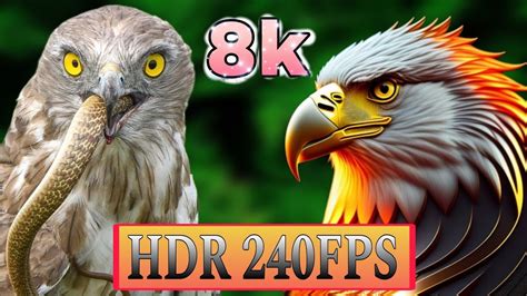 K Hdr Fps Best Of Dolby Vision Ultra Hd Video Youtube