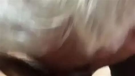 Free Older Cocksucker Gay Porn Videos XHamster