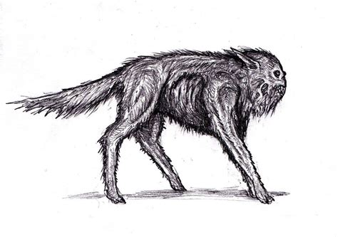 S.T.A.L.K.E.R. - Pseudodog | Stalker, Character art, Post apocalyptic art
