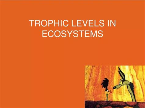 PPT TROPHIC LEVELS IN ECOSYSTEMS PowerPoint Presentation Free