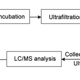 Schematic Representation Of The Analytical Procedure Used For The