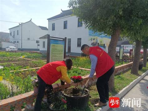 “党建红”引领“生态绿”，苏州太平街道乐安村党员带头栽花植绿添生机