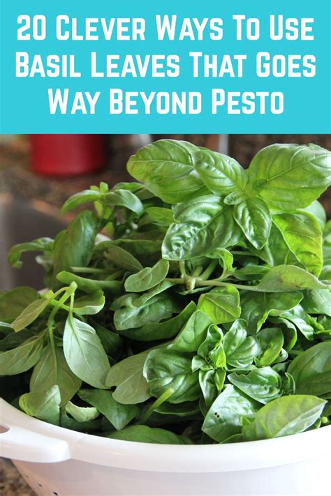 20 Clever Ways To Use Basil Leaves That Goes Way Beyond Pesto Artofit