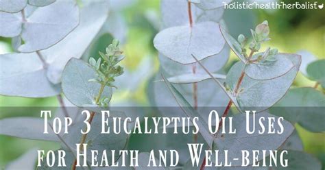 Top Eucalyptus Oil Uses For Health And Well Being There S An Eo For