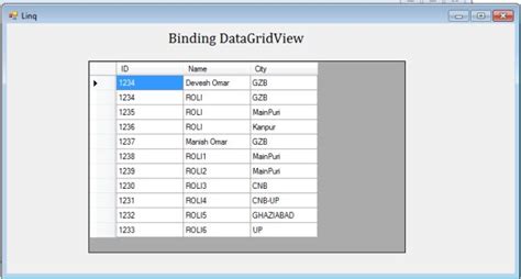 Ways To Bind DataGridView In C Windows Forms