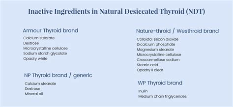 Your Definitive Guide To Thyroid Medication Paloma Health