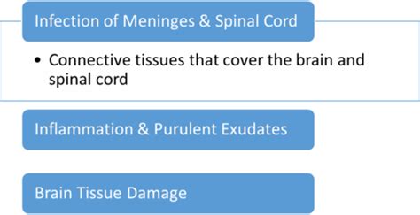 Neurology Flashcards Quizlet