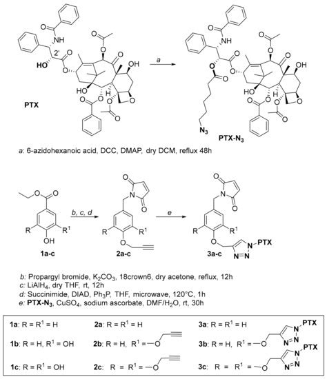 Molecules Free Full Text A New Nt4 Peptide Based Drug Delivery