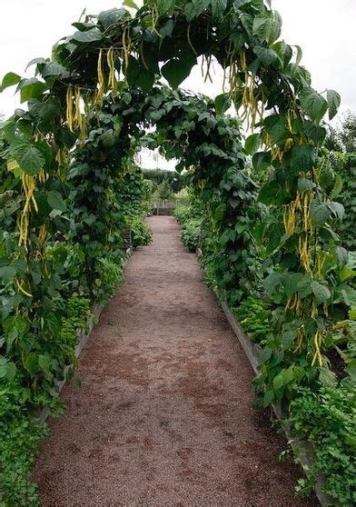 How To Build A Bean Trellis That Adds Interest To Your Garden Artofit