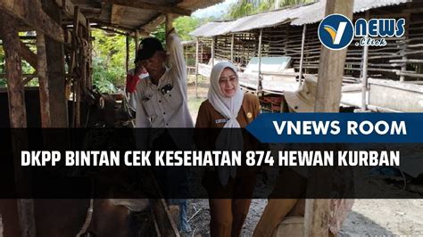 DKPP BINTAN Cek Kesehatan 874 Hewan Kurban YouTube