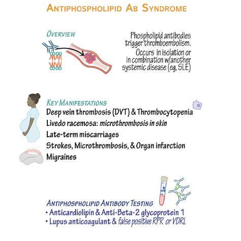 Clinical Pathology Glossary Antiphospholipid Antibody Syndrome Aps