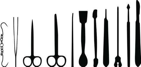 anatomy tools stock illustration  image  healthcare