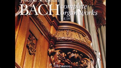 J S Bach Complete Organ Works Played On Silbermann Organs CD 18