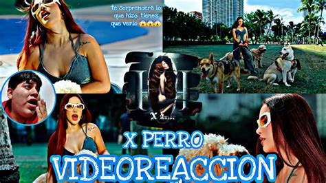 Kim Loaiza X Perro Visualizer Oficial Videoreaccion Youtube