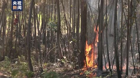 Incendii de pădure în Europa