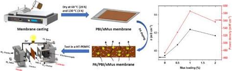 Insights Into The Performance And Degradation Of Polybenzimidazolemuscovite Composite Membranes