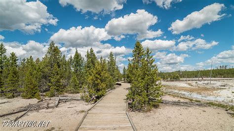 Back Basin – Norris Geyser Basin 13 | ProArtInc