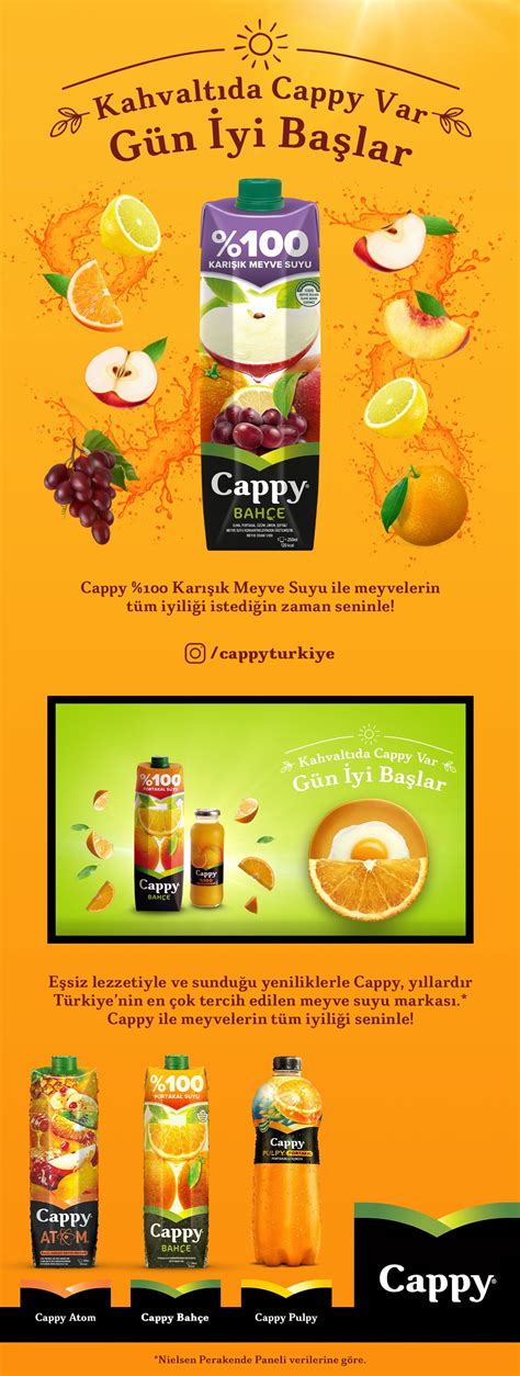 Cappy 100 Elma Karışık Meyve Suyu 1 L Macroonline