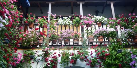 Llega La Primavera D Nde Ver Los Mejores Patios Andaluces