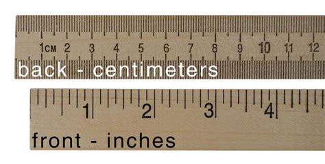 Meter Stick 100 Cm Full Wood Meter Stick Home Science Tools